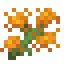 Marigold icon