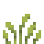 Melic Grass icon