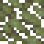 Olive Leaves icon