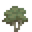 Olive Sapling icon