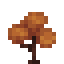 Orange Maple Sapling icon