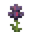 Potted Black Iris icon