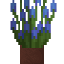 Potted Bluebell icon