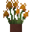Potted Marigold icon