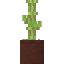 Potted Protea icon