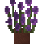Potted Purple Wildflower icon