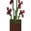 Potted Ruby Blossoms icon