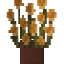 Potted Yellow Wildflower icon