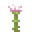 Protea icon