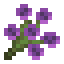 Purple Wildflower icon