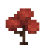 Red Maple Sapling icon