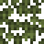 Redwood Leaves icon