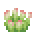 Regal Succulent icon