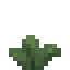 Sage Succulent icon