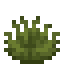 Sedge Grass icon