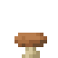 Shiitake Mushroom icon