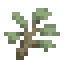 Silverbush icon