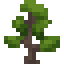 Sugi Sapling icon