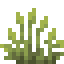Tall Melic Grass icon