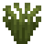 Tall Sedge Grass icon