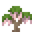White Wisteria Sapling icon