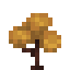 Yellow Maple Sapling icon