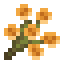 Yellow Wildflower icon