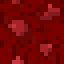 Nether Wart Mushroom icon