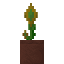 Potted Aura Bloom icon