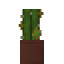 Potted Aura Cactus icon