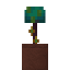 Potted Warped Aura Fungus icon
