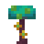 Warped Aura Fungus icon