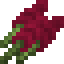 Amaranth icon