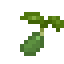 Asparagus Seed icon