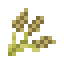 Barley icon