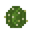 Barrel Cactus icon