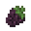 Blackberry icon