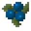 Blueberry icon
