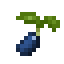 Blueberry Seed icon