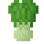 Bok Choy icon