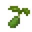 Broccoli Seed icon