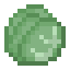 Cabbage icon