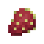 Cactusfruit icon