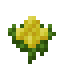Canola icon