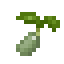 Cauliflower Seed icon