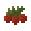 Cranberry icon