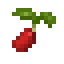 Cranberry Seed icon