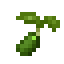 Cucumber Seed icon