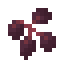 Elderberry icon
