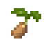Ginger Seed icon